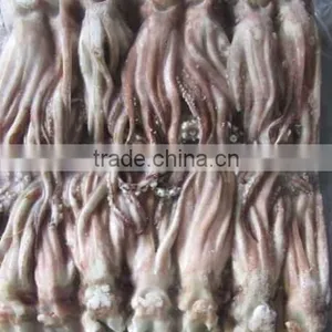 Japanese Squid Tentacles Size 300-400g On Sale thumbnail-1