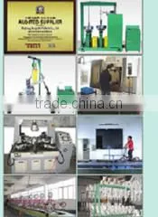 Zhejiang Bao Gui Lai Vehicle Co., Ltd. company overview - view 3 thumbnail