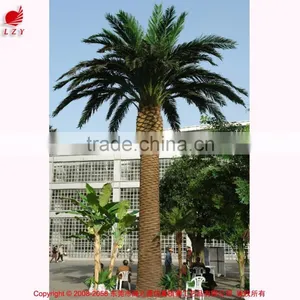 High Quality Artificial Palm Tree for Outdoor Decoration Artificial Date Palm Tree thumbnail-1