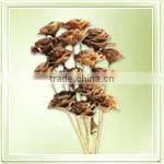 Ceder Rose On Stem thumbnail-1