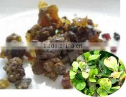 BOSWELLIA DRY EXTRACT thumbnail-2