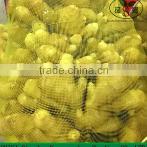 Lastest Dried Ginger Export Price Wholesale Ginger And Garlic thumbnail-4