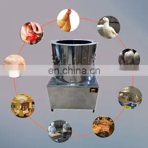 Chicken Processing Farm Equipment Chicken Plucker Machine / Chicken Feather Removal Machine / Electric Feather Depilator thumbnail-7