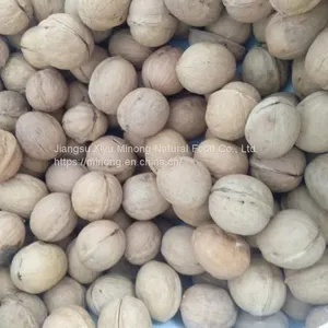 Walnuts With Shell thumbnail-1