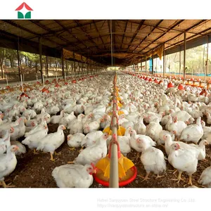 Chicken House Designs for Small Scale thumbnail-2