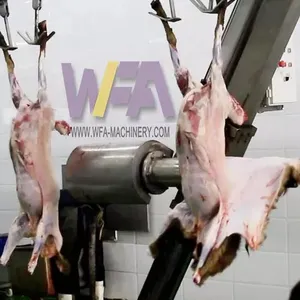 Halal Slaughterhouse Solution Goat Slaughtering Equipment Abattoir Lamb Sheep Skinning Machine UAE thumbnail-5