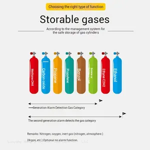 Smart Cylinder Safety Cabinet-GSC579 With Combustible Gas Detection & Galvanized Hinges for Biotechnology Research Plant thumbnail-5