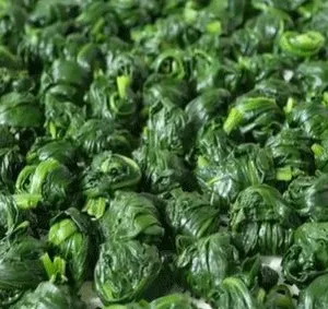 Frozen Chopped Spinach Ball With Top Quality thumbnail-2