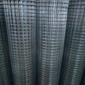 Hot Dipped Galvanized Welded Wire Mesh Rolls for Construction and Fencing thumbnail-4