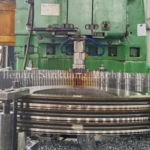 Precision Ground Planetary Reducer Ring Gear Standard Size Available thumbnail-3