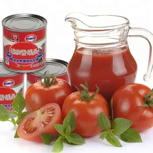 100-200 Kg/h Small Tomato Paste Processing Plant thumbnail-1
