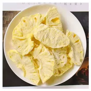 Shanghai FD Freeze Dried Plants Strawberry Powder High Quality Drying Equipment thumbnail-6