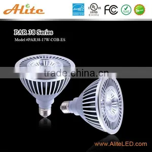 China Manufacturer Par38 17w Cob Led Profile Spot Light thumbnail-1
