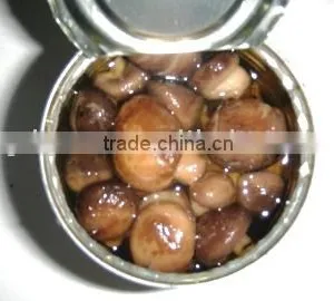 Canned Mushroom Whole thumbnail-1