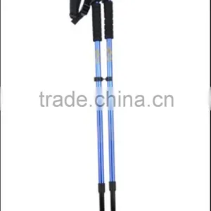 Walking Stick thumbnail-2
