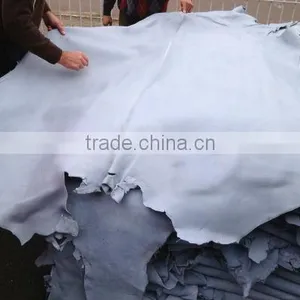 Wet Blue Cow Hide thumbnail-1