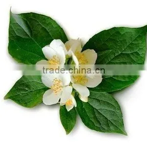 Natural Neroli Oil thumbnail-1