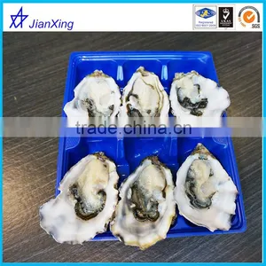 Good Quality Size Customizable Oyster Display Plastic Food Tray With Dividers thumbnail-4
