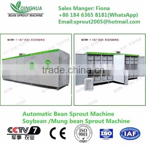 Peanut Sprout Machine/soya Bean/green Bean thumbnail-6