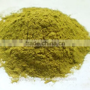 Sweet Tea Leaf 100mesh , 280mesh Sweet Tea ExtractRubusoside Natural Sweetener OEM Service thumbnail-3