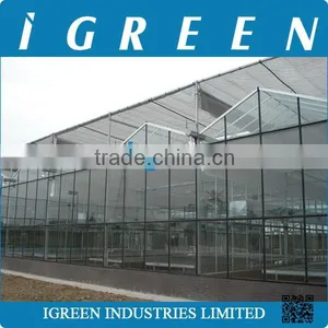 Venlo Type Flower Multi Span Commercial Greenhouse thumbnail-4