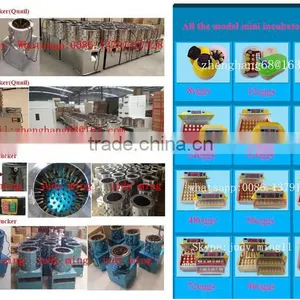 1000 Chicken Eggs Incubator for Sale Combined Setter and Hatcher thumbnail-4
