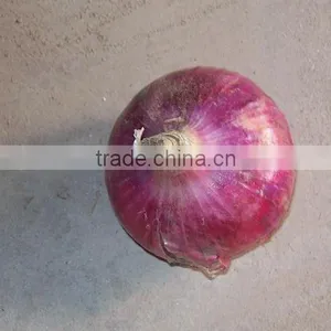 Chinese Baby Onion at Yellow Onion Price thumbnail-1