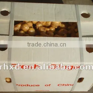 Chinese Fresh Ginger Export Price 2016 thumbnail-3