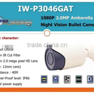IW-P3078GST 80M IR Auto Focusing Water-proof IP Camera thumbnail-5
