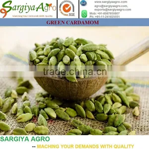 Green Cardamom l Fresh l Export Quality thumbnail-3