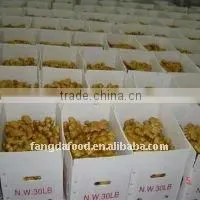 Fresh Ginger Price in China thumbnail-1