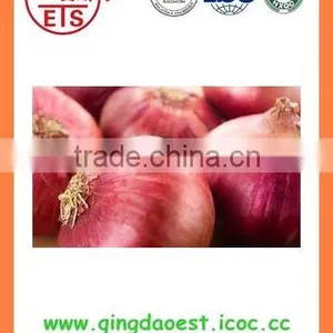 Fresh New Crop Red Onion PRODUCTS From China thumbnail-3