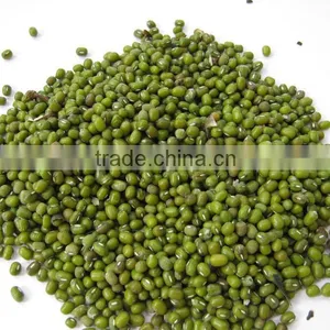 GREEN MUNG BEAN thumbnail-1