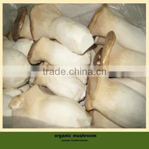Fresh Mushroom thumbnail-1