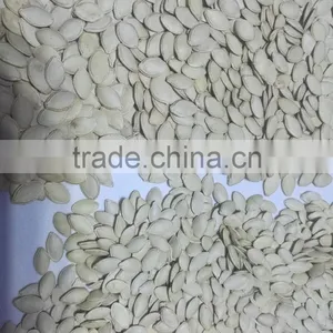 Snow White Pumpkin Seeds in Shell thumbnail-2