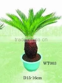 Plants thumbnail-1