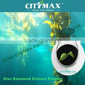HOT!!! Strong Soluble Seaweed Liquid Foliar Spray Fertilizer thumbnail-1