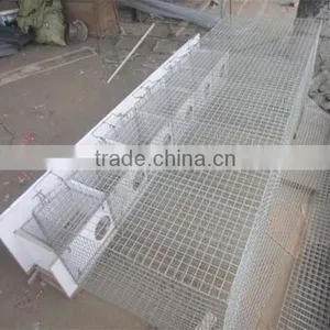 Mink Breeding/Mink Farming Cage thumbnail-3