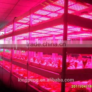 Quarantine Isolated Greenhouse for Scientific Research thumbnail-3