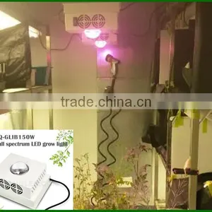 Hot Sell Cob Led Grow Bulbs150 w Indoor Grow Light Bulbs thumbnail-6
