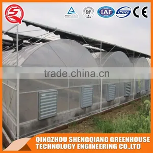 Agriculture Equipment/farming Plastic Greenhouse for Vegetables and Flowers Planting thumbnail-1