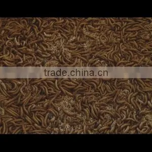 Shanxian Yongzheng Pet Food Co., Ltd. company overview - view 1 thumbnail