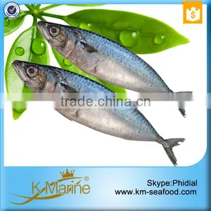 Wholesale Mackerel Frozen Foods thumbnail-5