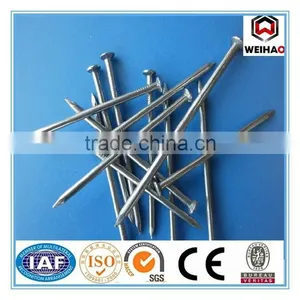 High Quality Common Round Iron Nails/Common Wire Nail thumbnail-2