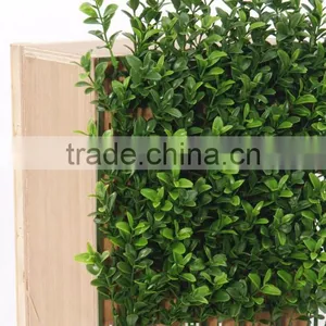 New Generation Boxwood Top Matt Available in UV Protected and Inherently Flame Retardant thumbnail-2