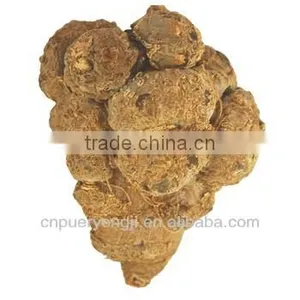 Organic Panax Notoginseng / Pseudo-ginseng /San qi /Sanchi Powder P. E. Herbal Dietary Supplement 3 Years Gro thumbnail-1