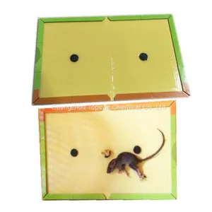 Pest Trap of Rat and Mouse Trap for Stick Mouse From Guangzhou Factory thumbnail-2
