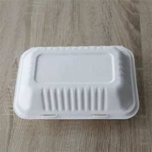 Eco Friendly Fully Degradable Disposable Food Containers thumbnail-3
