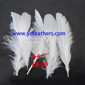 Natural White Rooster Tail Feather for Wholesale From China thumbnail-1