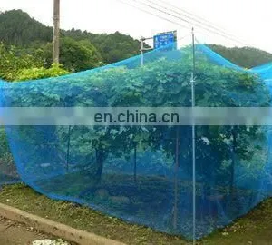 Factory Direct 55gsm 65gsm 70gsm Anti Insect Screen Hdpe Greenhouse Agricultural Protect Insect Proof Mesh Fine Net thumbnail-3